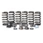 Picture of BD Diesel Governor Spring Kit - 4000RPM - Dodge 1994 - 1998